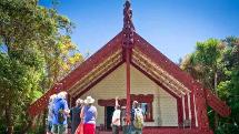 Waitangi Treaty Grounds - Experience Pass